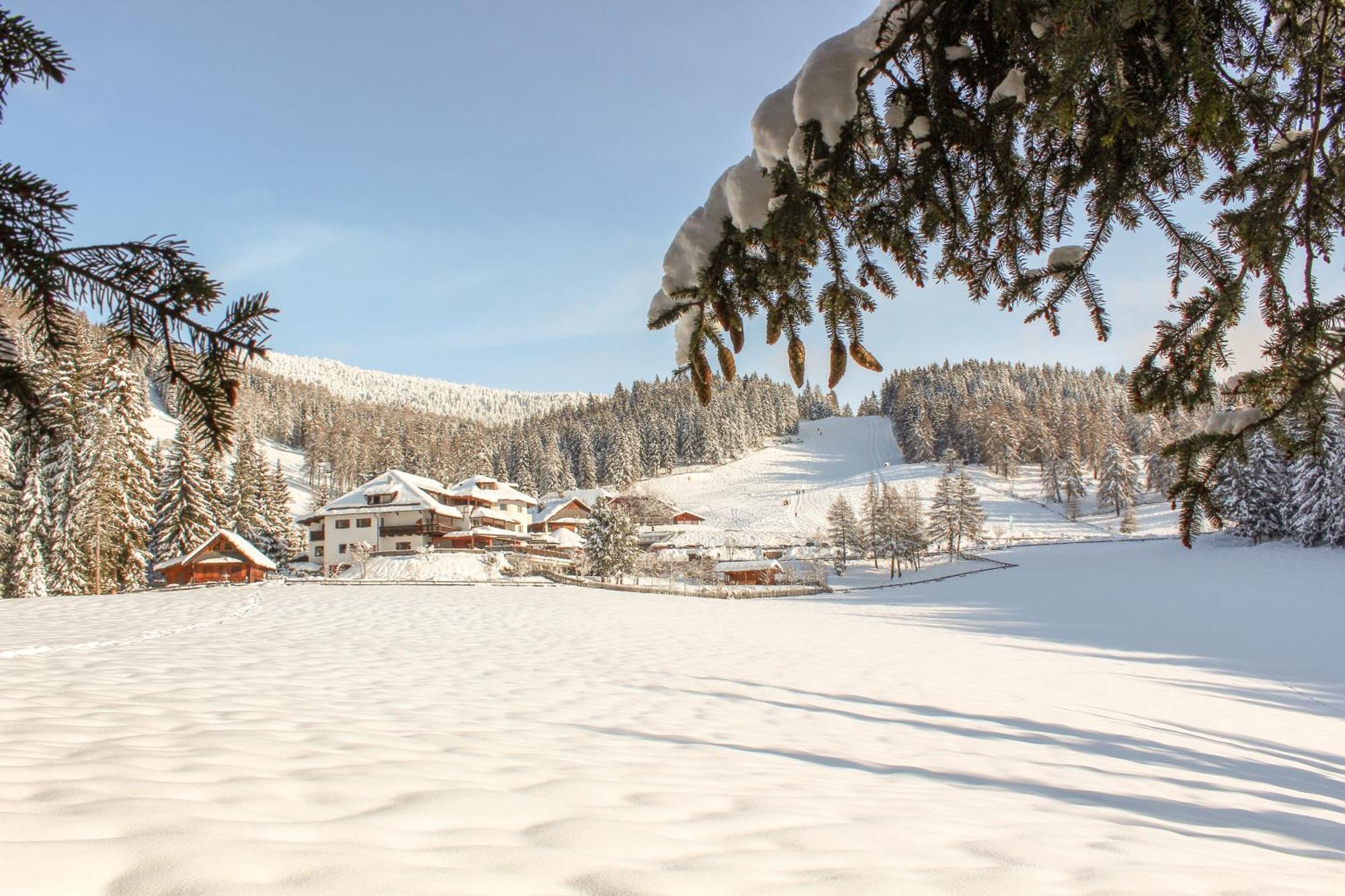 Berghotel Zum Zirm Collalbo Dış mekan fotoğraf